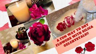 Drying Flowers using Silica Gel Crystals|| How to dry flowers 3 Easy Ways// Garden World