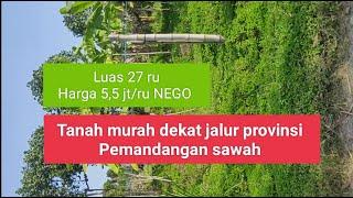 (WA 08563534318) Tanah murah dekat jalur provinsi, pemandangan persawahan.