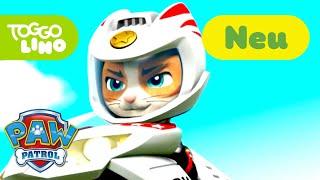 PAW Patrol Deutsch | Die Moto-Patrol | Helfer auf vier Pfoten | Toggolino Serien