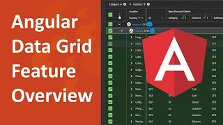 Angular Grid / Material Table Overview