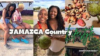 Weekly Vlog: Jamaica Country Life,Cooking+Wild Beach Day in Montego Bay & more..