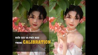 Hiểu sâu và phối màu Calibration trong Camera raw