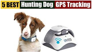 Best Hunting Dog GPS Tracking of 2024