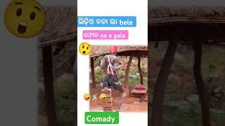 Phone ne video bana la Comady \ sambalpuri status video | sambalpuri song #shortvideo #dance