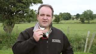 How to blow a sheepdog whistle and whistle commands - thebordercollie.co.uk