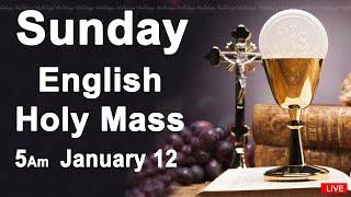 Catholic Mass Today I Daily Holy Mass I Sunday January 12 2025 I English Holy Mass I 5.00 AM