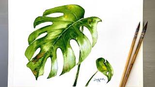 Easy Watercolor Painting - Monstera Plant Leaves-Tutorial for Beginner Step by Step.