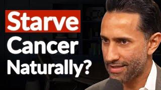 Starving Cancer: Breaking Down Thomas Seyfried's Radical & Controversial Protocol