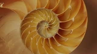 The Golden ratio