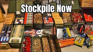 6 Calibers You NEED To Stockpile In 2024!!