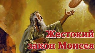 Жестокий закон Моисея | Раввин Михаил Финкель