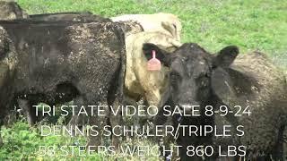 TRI STATE VIDEO SALE 8-9-24 AT 1PM