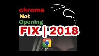 How to fix Google chrome in kali linux | 2018 | NOT OPENING