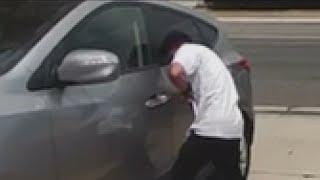 TikTok 'trend' challenges people to steal cars