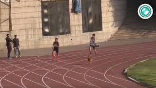 Dog Wins Track Race Against Two Humans - 1017527