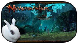 NEVERWINTER: Paladin-LP  199 - Der Geisterbaum und Strahd in Ravenloft