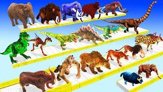 Animals vs Dinosaur vs Brachiosaurus Mammoth Speed Race Run Zigzag Down Course! Super Animal Battle