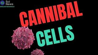 Cannibal Cells eating other cells|| #science