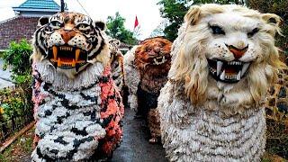 Asmr lion dance and drumband parade during the rain in a mountain village