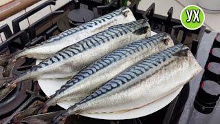 MUST DISHES for the cold season! 2 simple recipes - Lightly salted and baked mackerel