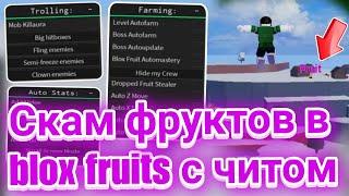 Скам Фруктов в Blox Fruits с Читами | Читы в Блокс Фрутс