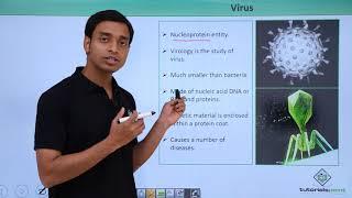 Class 11th – Virus – Introduction | Biological Classification | Tutorials Point