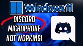 How to Fix Discord Mic Not Working Windows 11