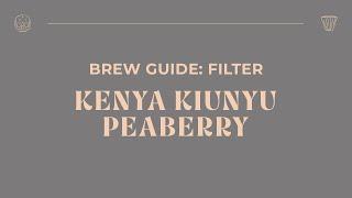 Brew Guide - Kenya Kiunyu Peaberry Filter