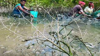 আজ কৌশিক কাকার বাড়িতে,ছোট্ট ডোবা ছেচে প্রচুর পার্শ্বে মাছ ধরলাম!!!