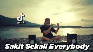 SAKIT SEKALI EVERYBODY x STEREO LOVE SLOW REMIX (DJ Desa)