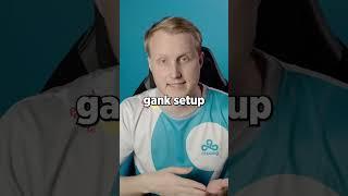 The BEST Supports According to Zven