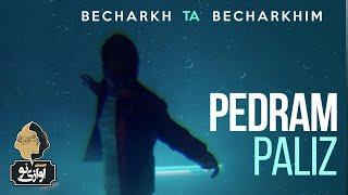 Pedram Paliz - Becharkh Ta Becharkhim | OFFICIAL TRACK ( پدرام پالیز - بچرخ تا بچرخیم )