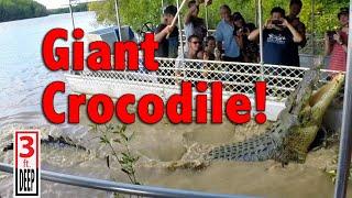 Giant Crocodile Encounter with "Dominator"