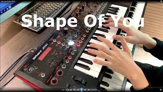 Ed Sheeran - Shape Of You l JDXi x FP90 By Yohan Kim