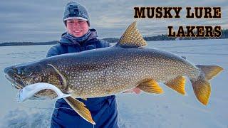 MUSKY LURE LAKERS! (MEGA LIVE)