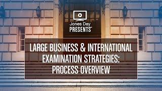 Large Business and International Examination Strategies: Process Overview