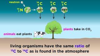 Radiometric Dating: Carbon-14 and Uranium-238