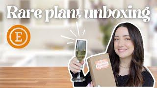 Unbox Plant Mail With Me! Replacing a Dead Caramel Marble ️