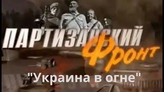 Партизанский фронт:  Украина в огне  (2014) Документальный фильм