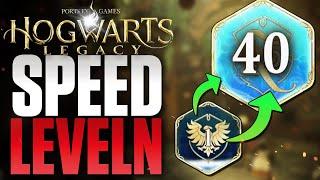 SPEEDLEVELN in Hogwarts Legacy - Level 40 in kurzer Zeit erreichen   Tipps & Tricks