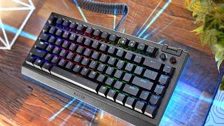Best Razer Keyboard Yet! NEW Razer Blackwidow V4 75% Review