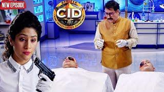 डॉ ताड़िका के गन से ! दो लोग हुए घायल ? देखिये आगे क्या हुआ | CID NEW EPISODE | TV EPISODE | 2024