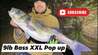 BASS FISHING SERIES-9 POUND BASS-XXL POP UP RIG-BASSMANS BOUNTY RIGS