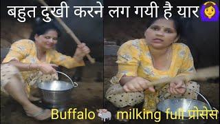 Buffalo milking nd prepare by dedi women #anjanasharma#cowbuffalomilking#viralvideo #dailyroutine