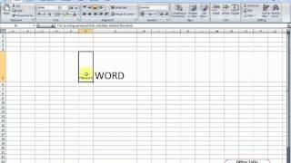 How to make all text visible in the cell by showing the text on multiple lines? | Excel 2007