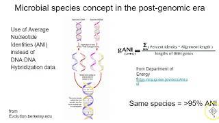 Pan core and variable genomes in microbiology