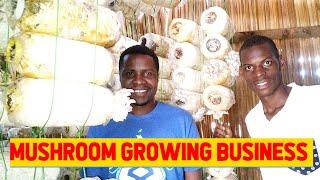 Watch this if You want to Start a Successful Mushroom Business