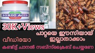 How to Kill cockroaches with Boric acid powder ( പാറ്റയെ എങ്ങനെ ഇല്ലാതാക്കാം)