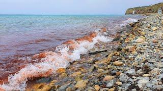 #Анапа МОРЕ ПОКРАСНЕЛО! КОГДА ОТКРОЮТ АЭРОПОРТ? Пляж Высокого берега, спуск Трудящихся