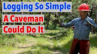 Simple Inexpensive Log & Firewood Harvesting System